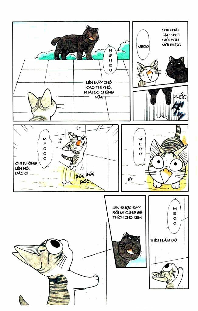 chi's sweet home chapter 34 7