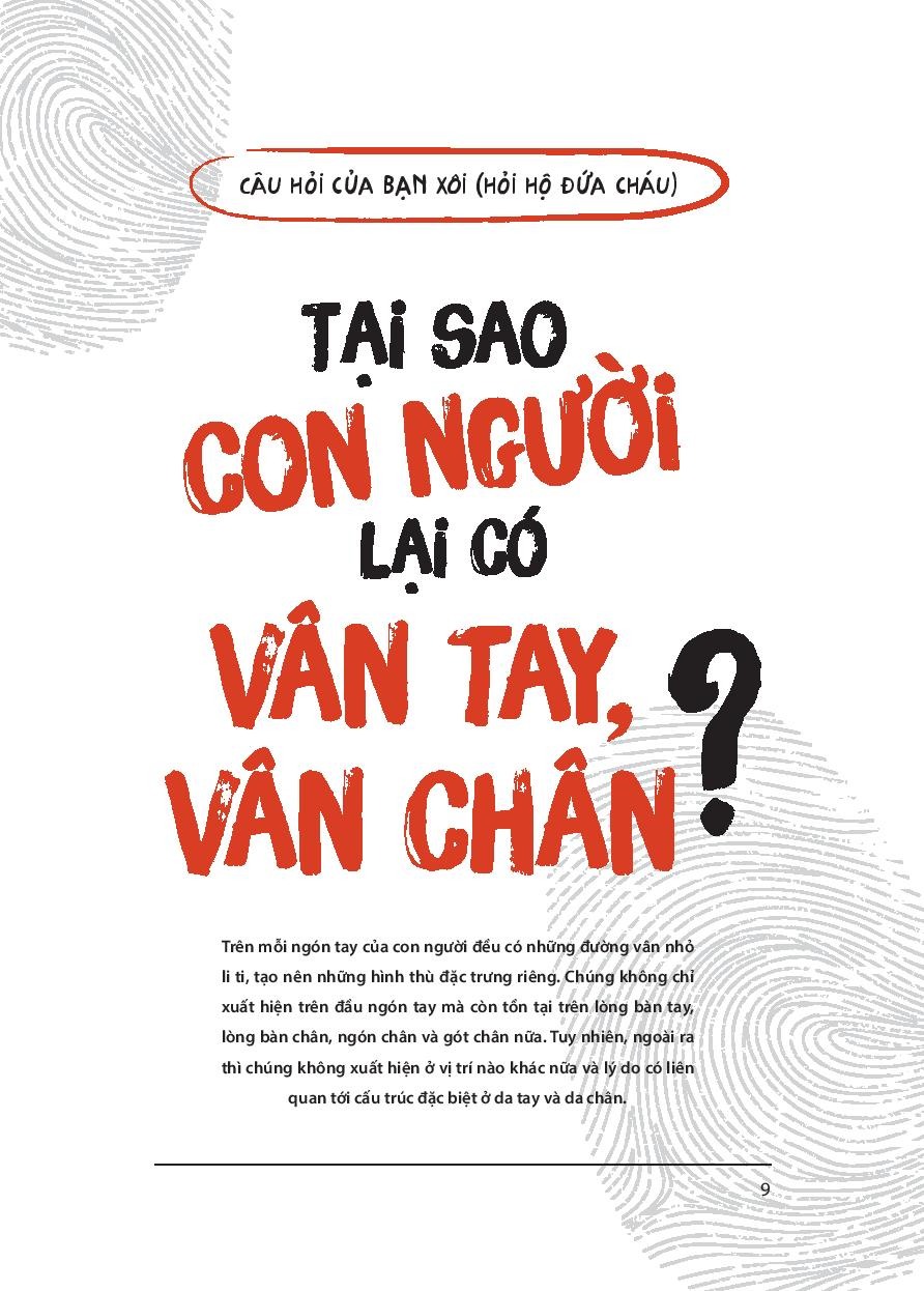 Không Có Câu Hỏi Nào Ngớ Ngẩn - Tập 2