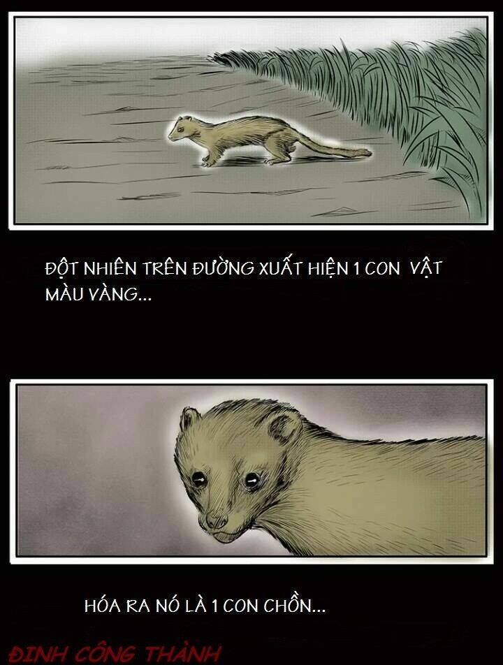 thầy súng kể chuyện ma chapter 8 4