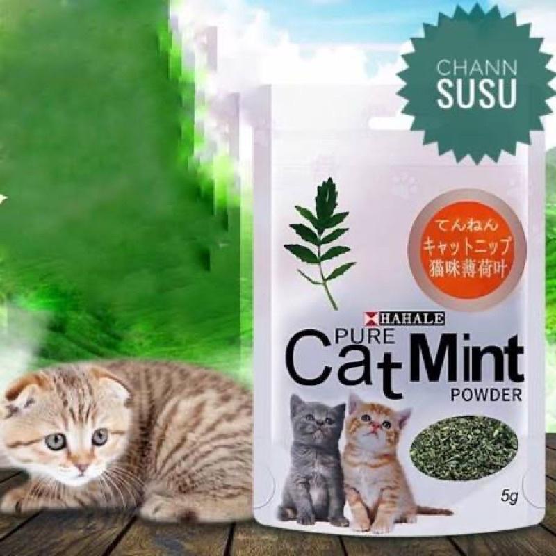 Cỏ Catnip Cỏ Bạc Hà Dạng gói Cho Mèo