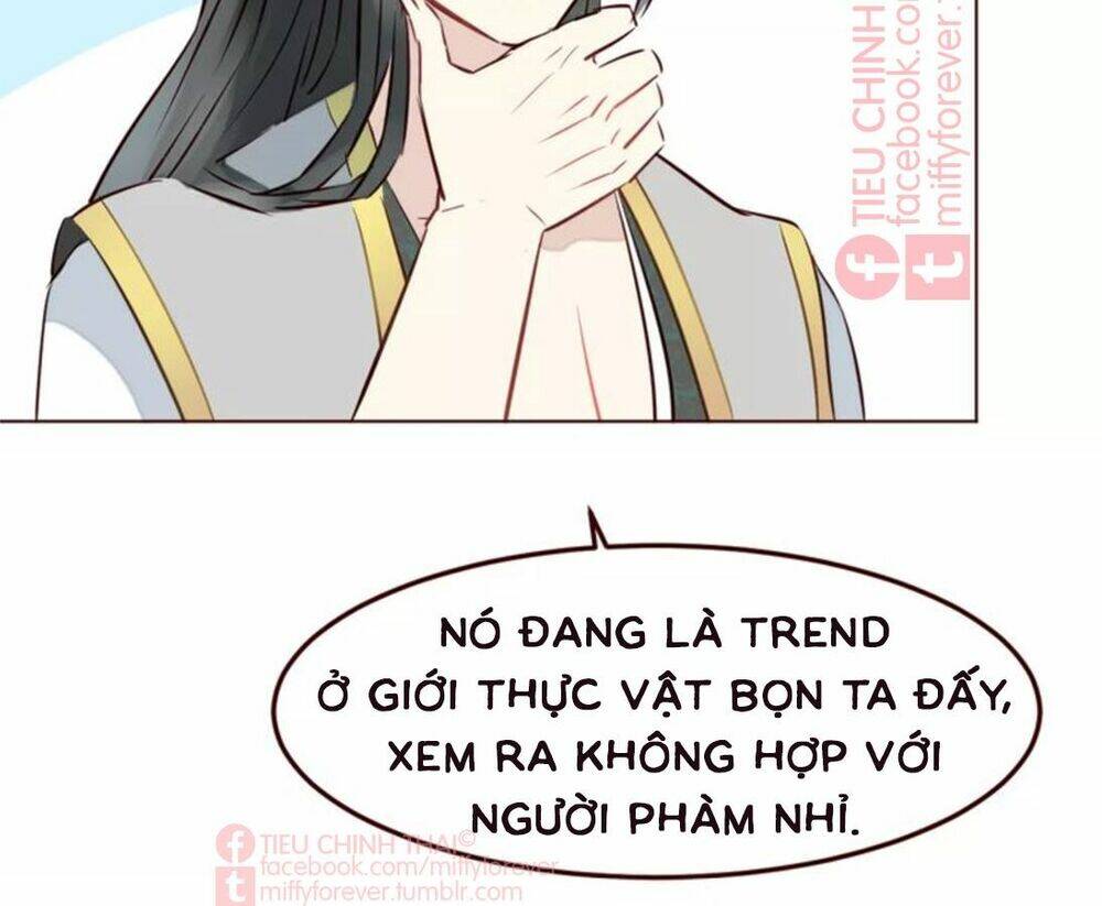bạn trai xương rồng chapter 10 53