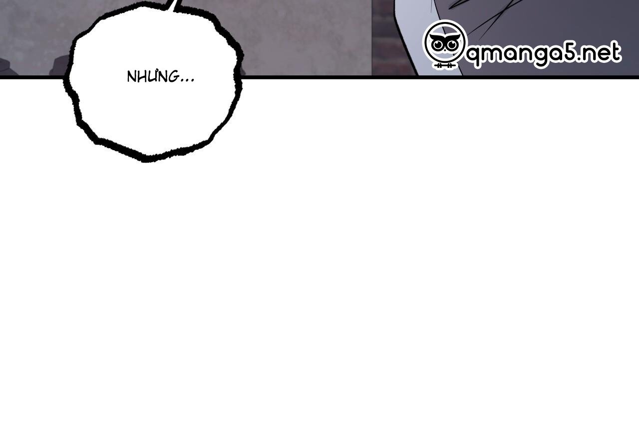 những chú thỏ của hapypy chapter 60 79