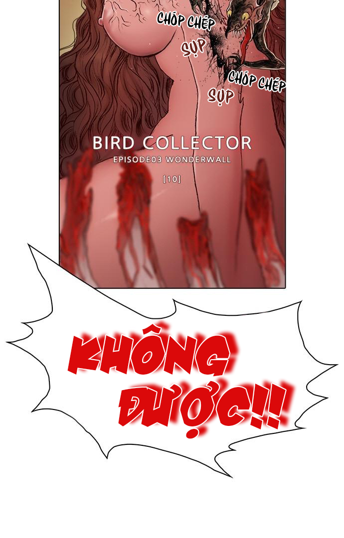 tôi chính là nhà sưu tập chim chapter 10 4