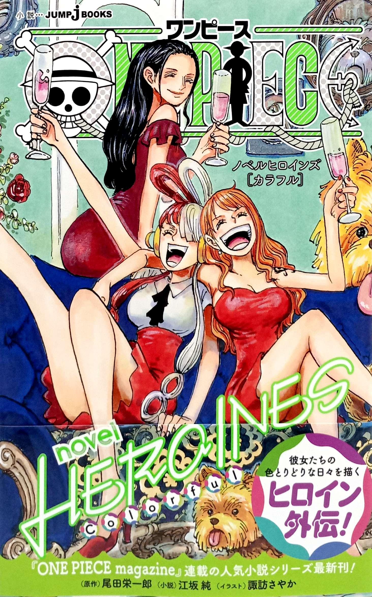Sách ngoại văn: ONE PIECE Novel HEROINES (Japanese Edition)