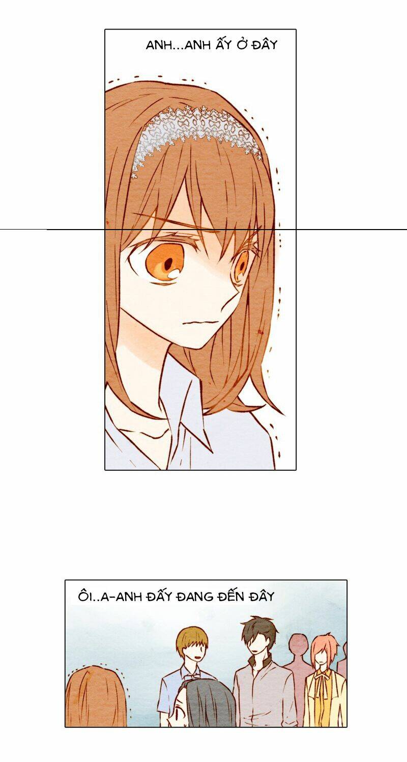 sự sao chép chapter 3 23