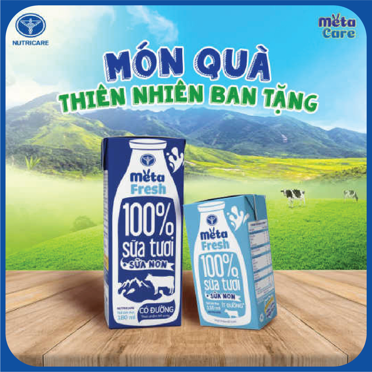 [Mua 11 lốc tặng 1] Sữa tươi Nutricare Meta Fresh Có Đường (180ml)