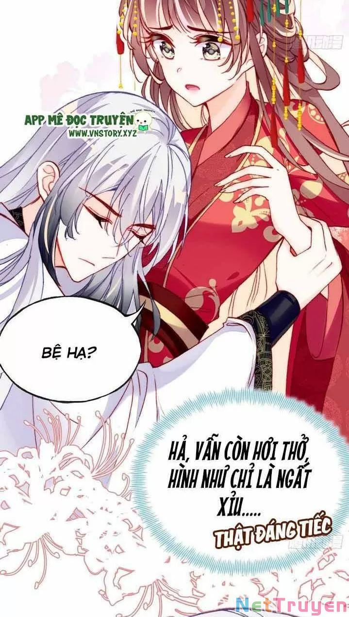 lại bị bệnh chiều chuộng quấn lấy chapter 4 54