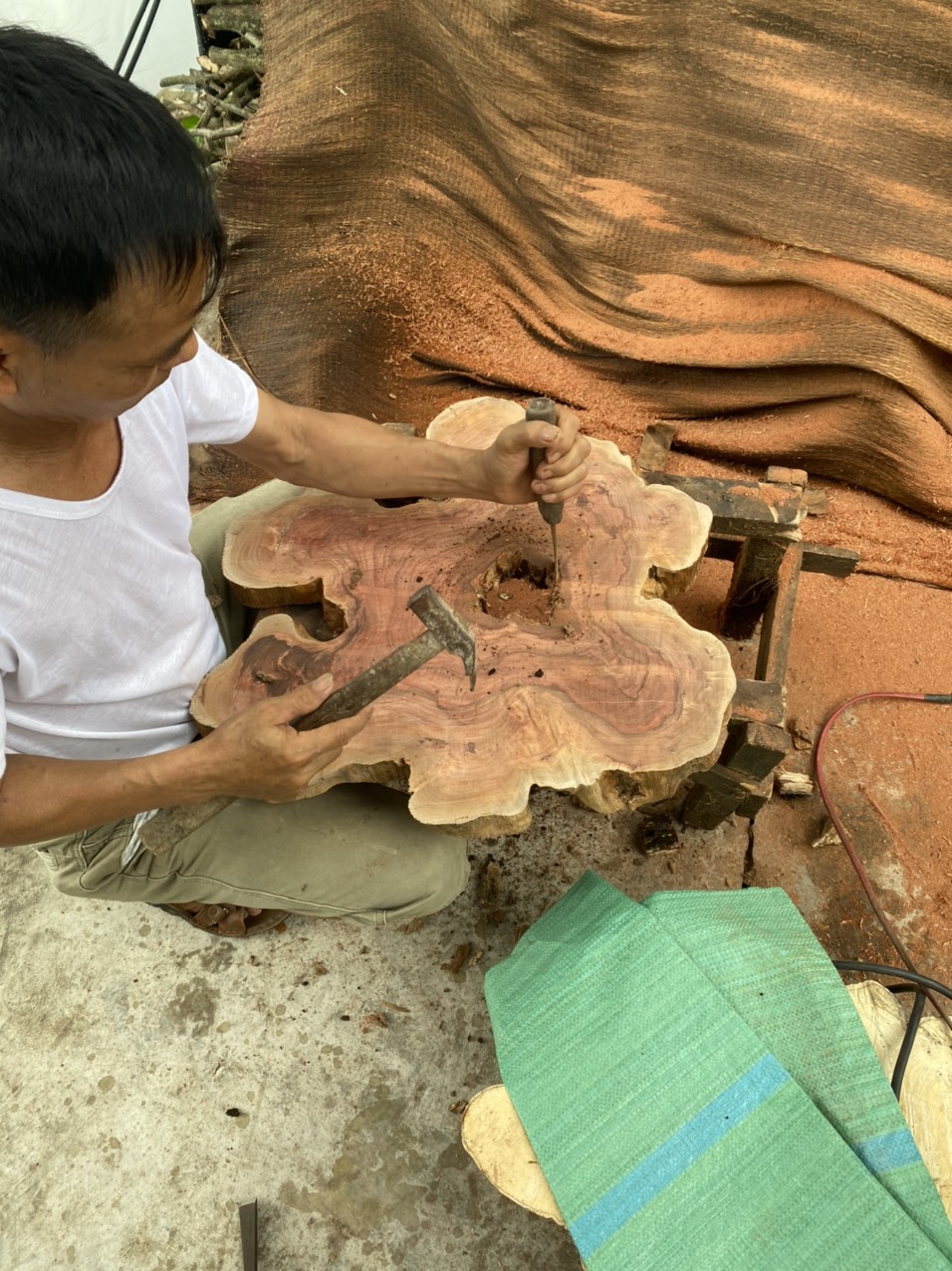 Mặt Gỗ Tròn Nguyên Khối Từ Thân Cây Tự Nhiên, Tấm Gỗ Mộc Làm Giá Thể Trồng Cây Lan