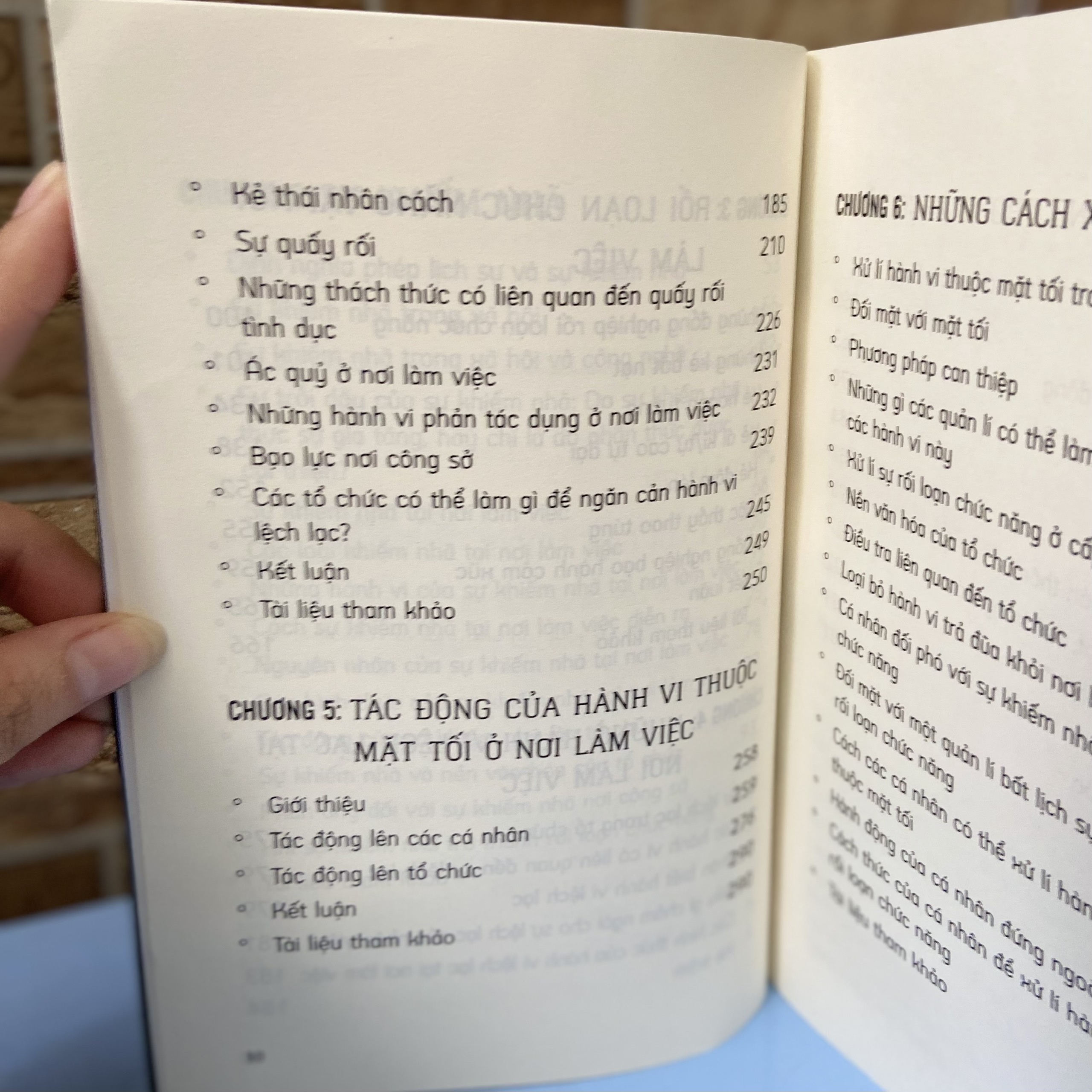 Sách: Mặt Tối Nơi Công Sở - Xử Lí Những Hành Vi Khiếm Nhã, Rối Loạn Chức Năng Và Lệch Lạc