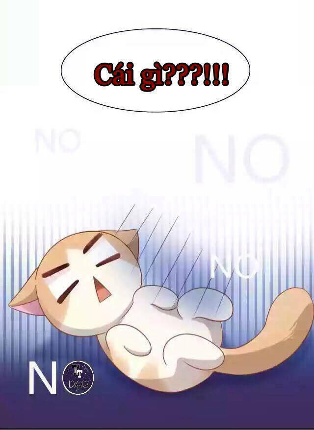 dưới móng vuốt mèo chapter 12 12