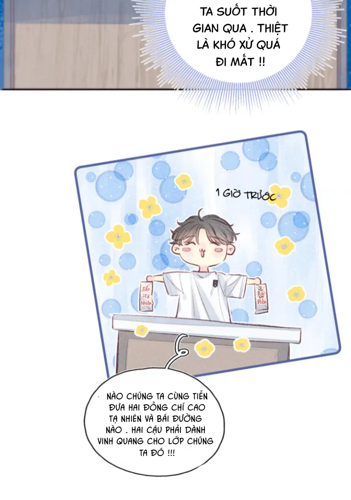 nỗi buồn của hoa cẩm tú cầu chapter 41 15