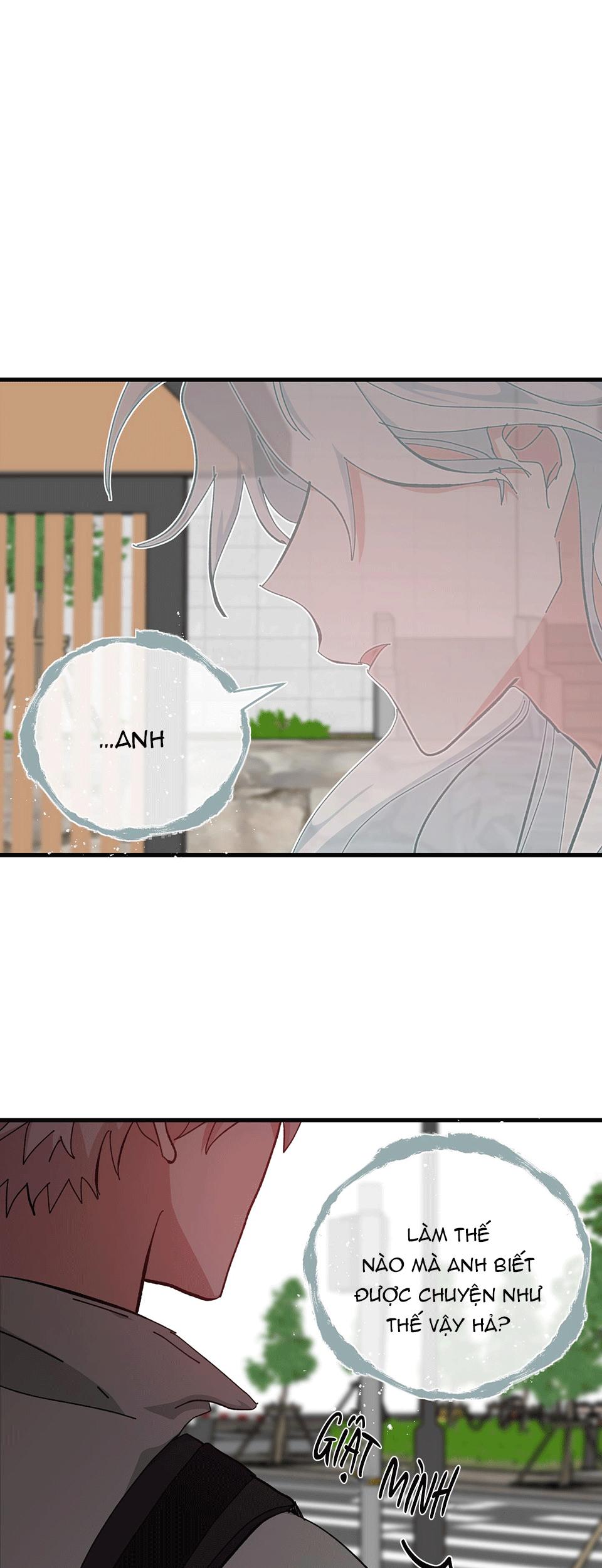 yêu tôi đi, thần hộ mệnh chapter 37 37