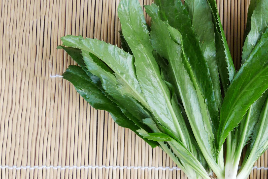 Hạt giống Ngò gai 76