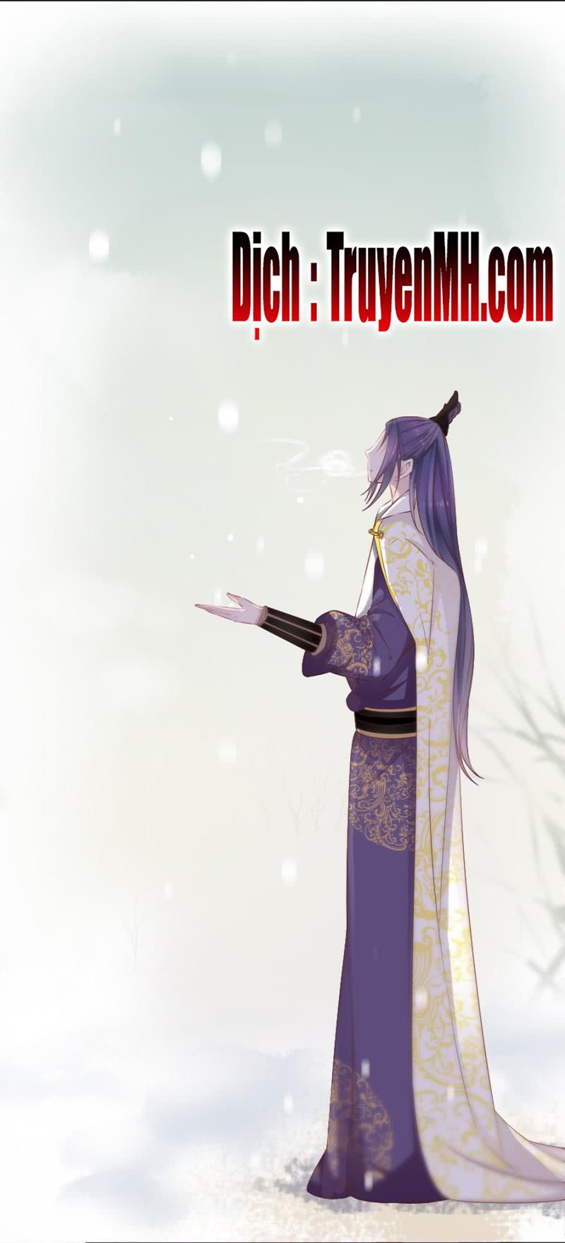 solo đi vương gia chapter 106 3