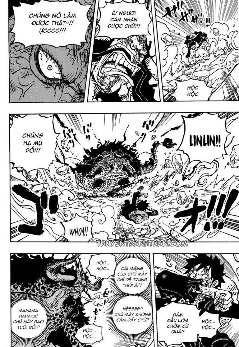 đảo hải tặc - one piece chapter 1041 14