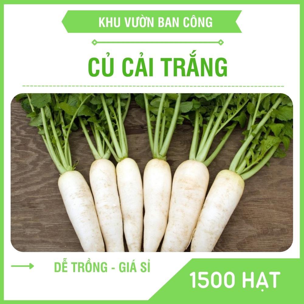 Hạt Giống Củ Cải Trắng Ăn Lá, Củ Cải Thái Bình Quy Cách Từ 100-1500 Hạt Gói 25G - Khu Vườn Ban Công