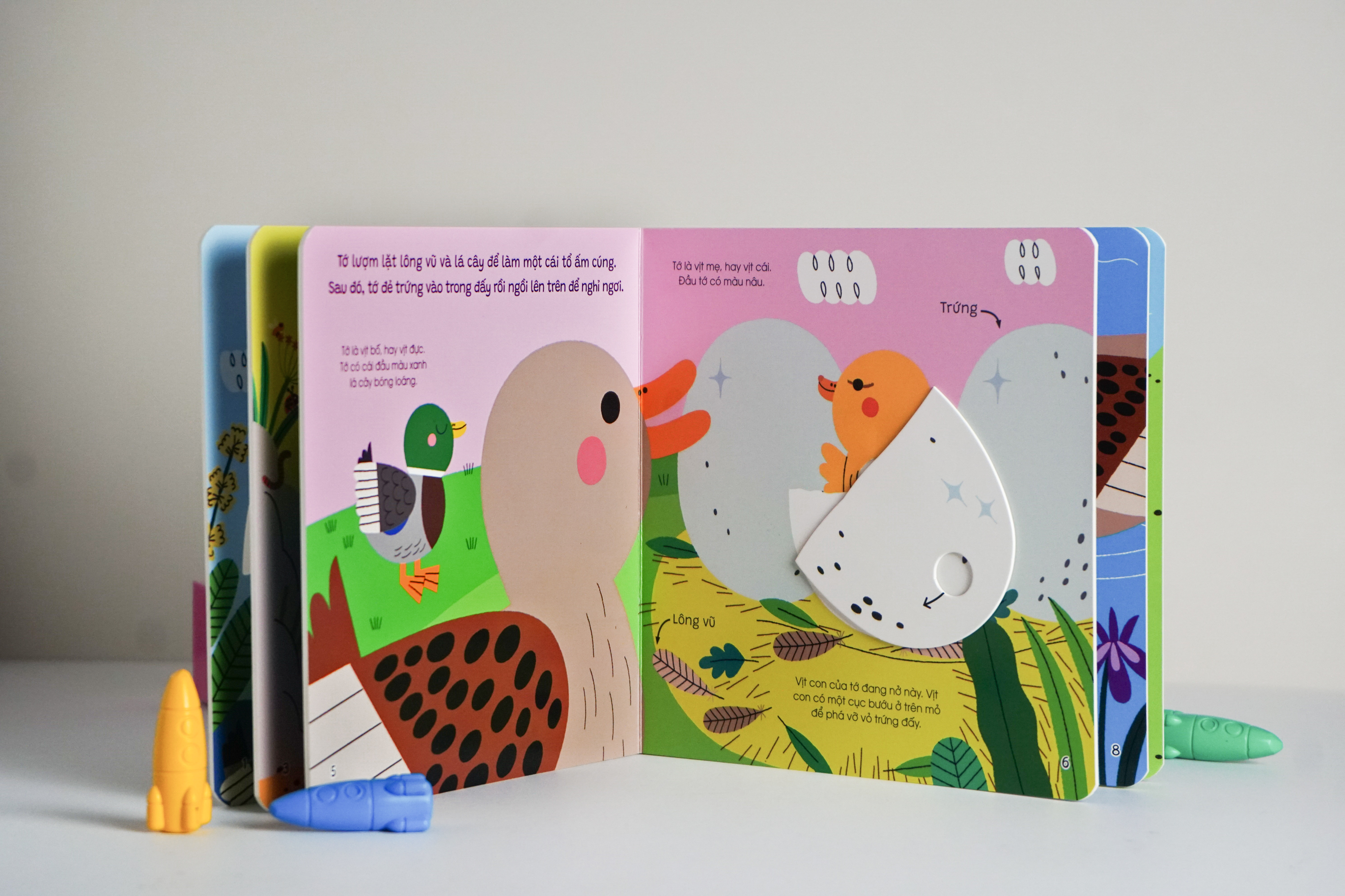 Thế Giới Nhỏ Động Đậy - ảnh 3