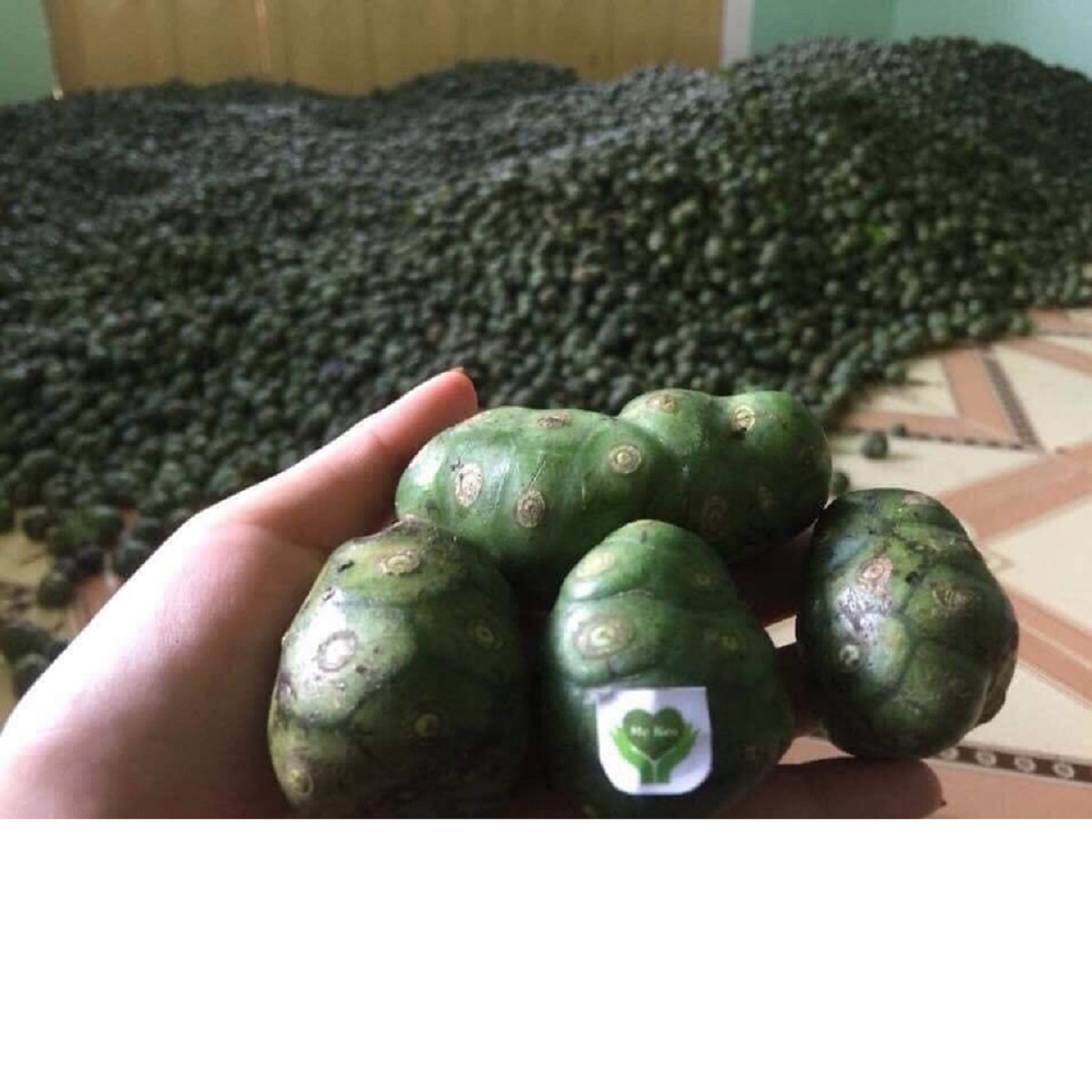 Nhàu rừng nguyên chất MẸ KEN 500gr NONI dạng viên mật ong rừng