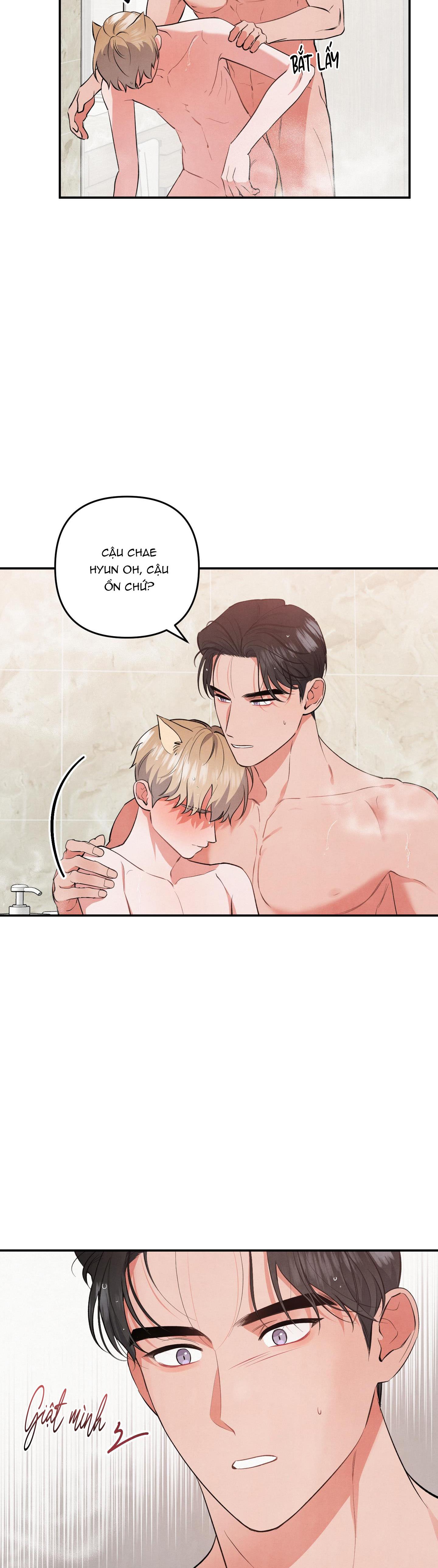 mối quan hệ ngu ngốc chapter 52 40