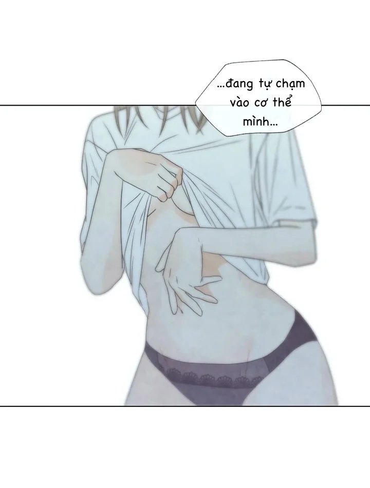 summer solstice point chapter 12 44