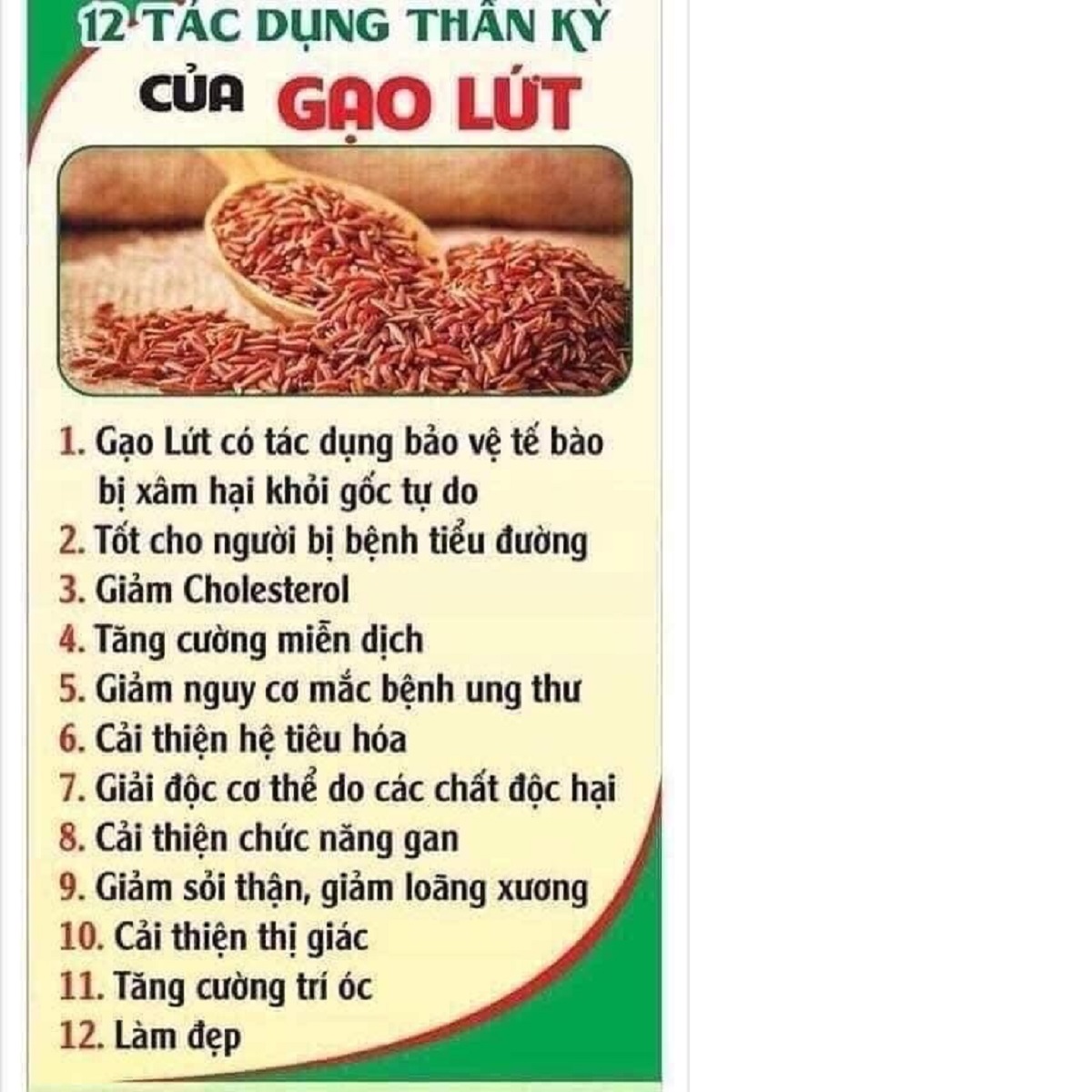 Gạo lứt huyết rồng dân tộc nguyên chất rang MẸ KEN 500gr tặng kèm miếng lót ly - TRÀ GẠO LỨT