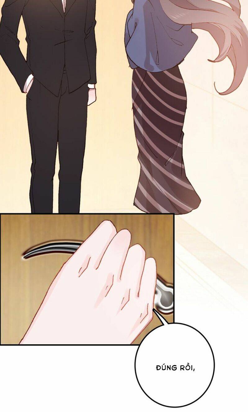 nhất sinh nhất thế mỹ nhân cốt chapter 26 28