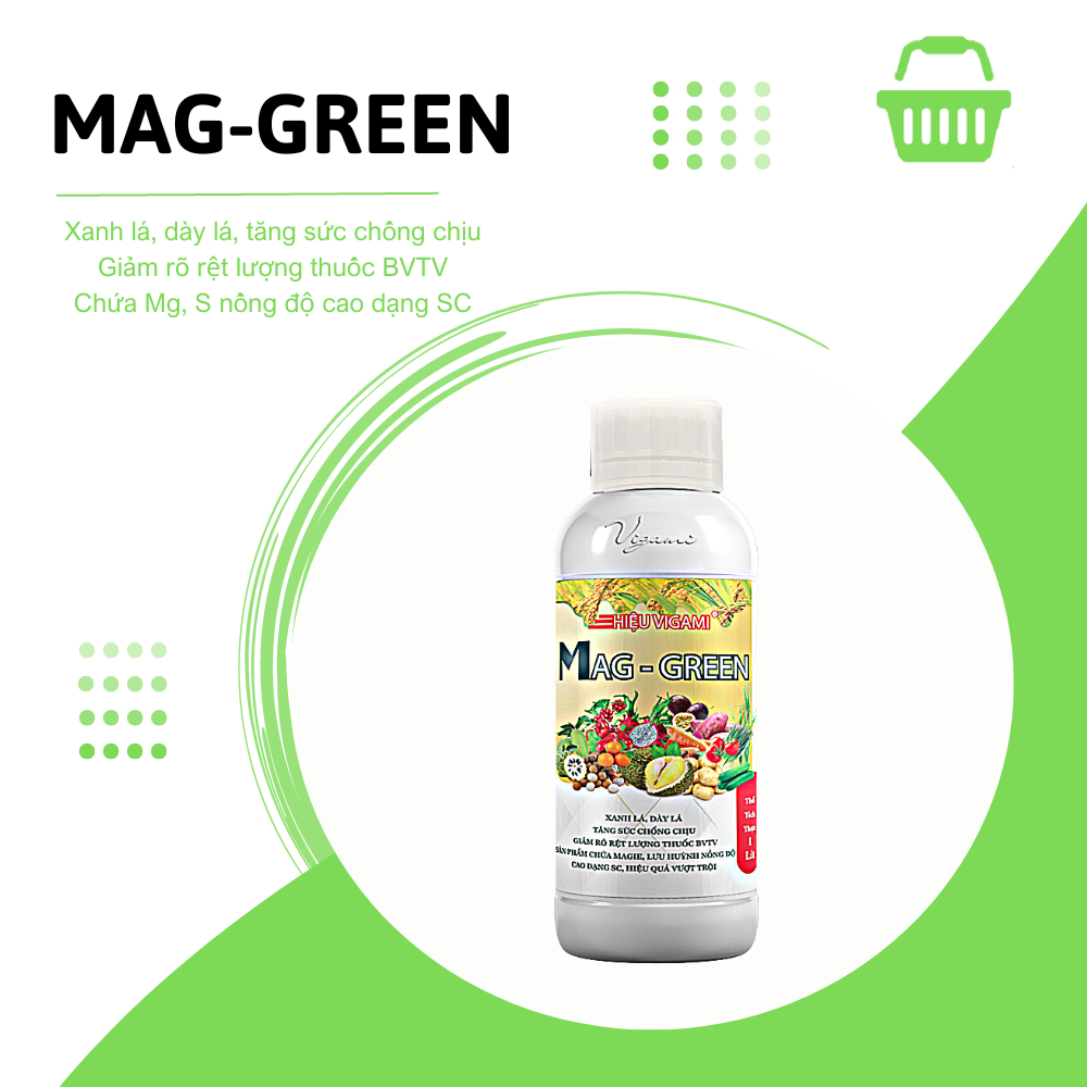 Phân bón Vigami MAG-GREEN xanh lá, dày lá, hiệu quả vượt trội 1000ML