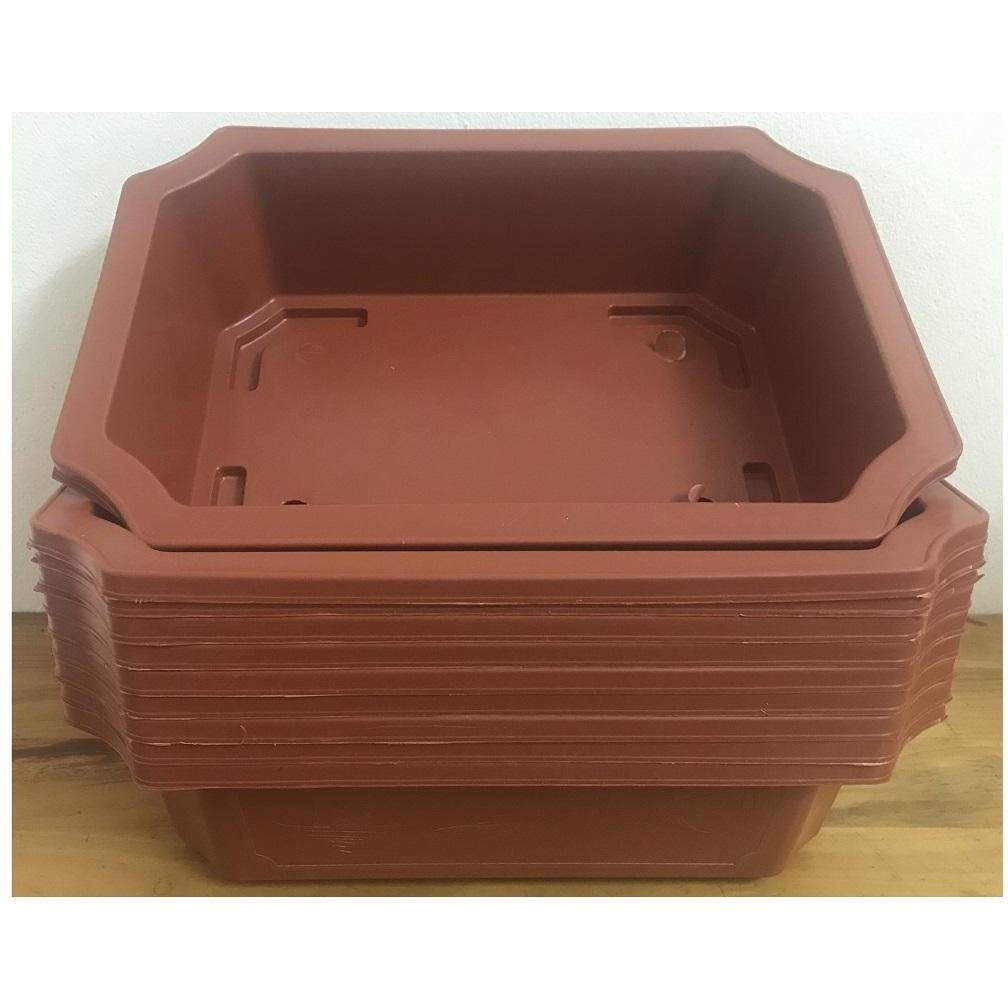 1 Chậu Nhựa Trồng Cây Mini Hình Chữ Nhật Màu Nâu Siêu Đẹp Kích Thước 350x255x90 - Sản xuất bởi NHỰA BÌNH THUẬN
