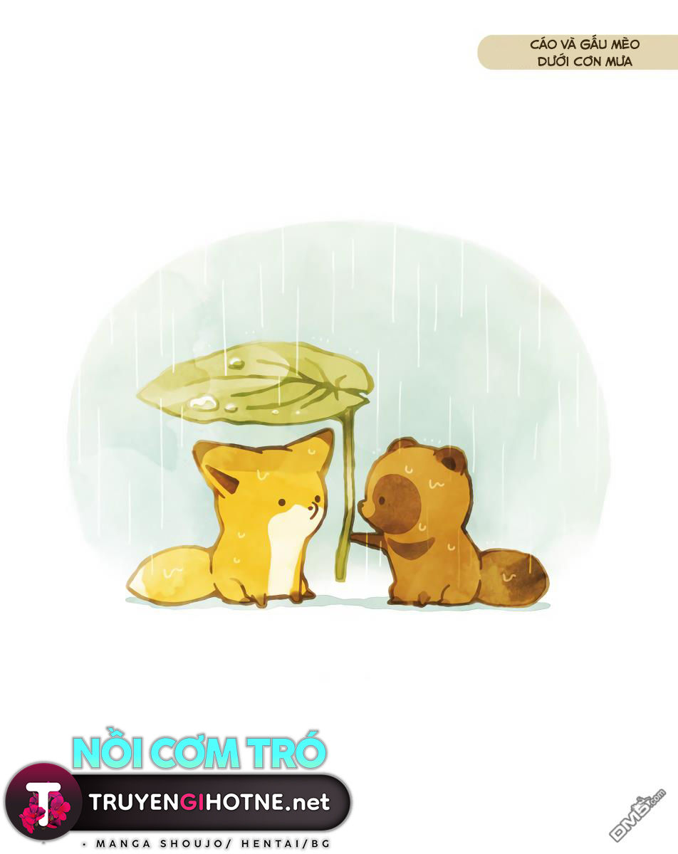 cáo và gấu mèo chapter 11 9