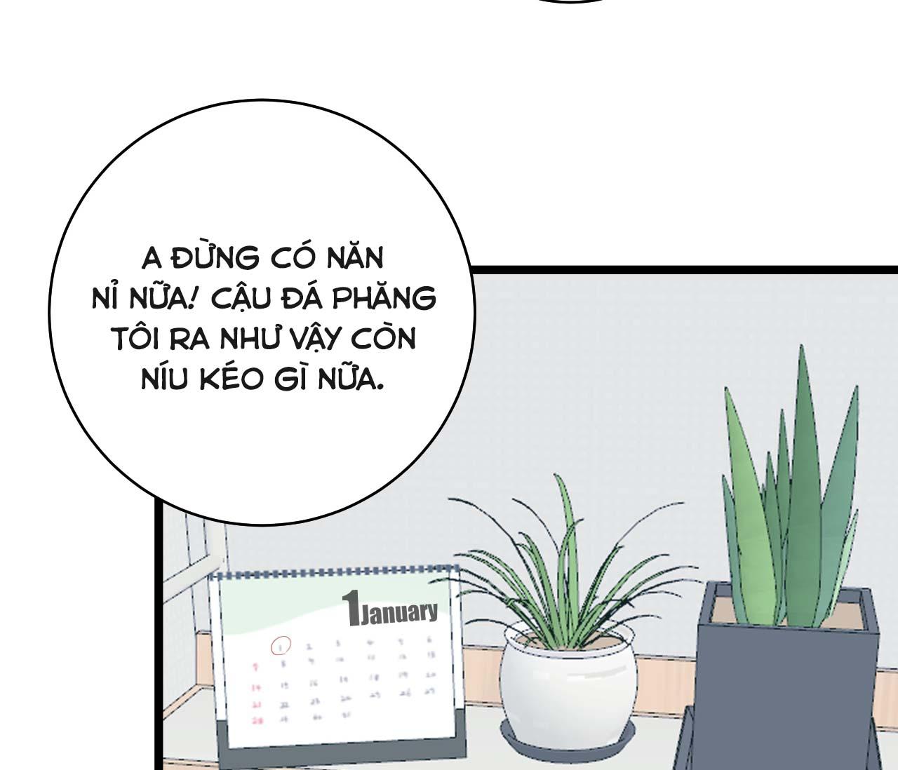 tình yêu bình dị nhất chapter 23 85