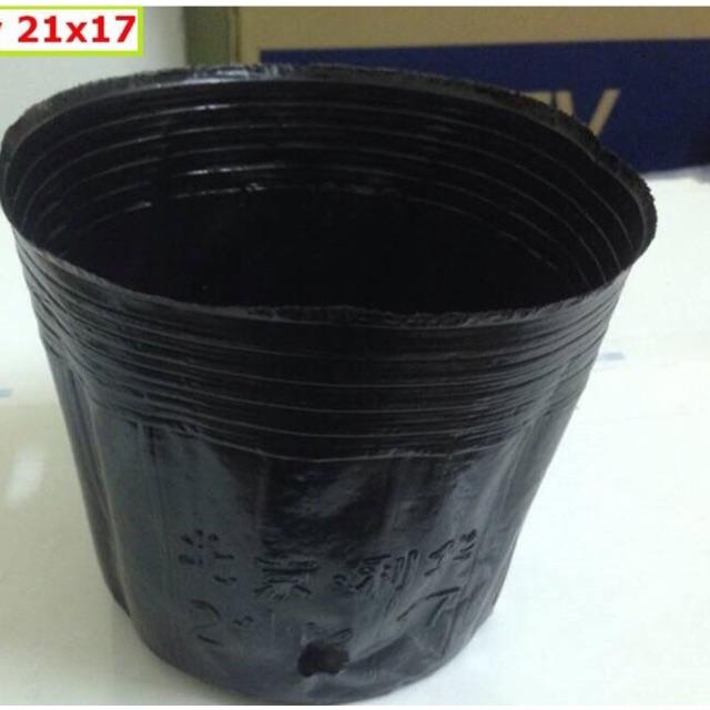 TÚI BẦU TRỒNG CÂY HOA ,CÂY CẢNH,CÂY ĂN QUẢ... 50 cái