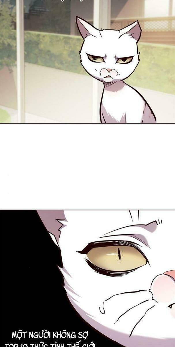 biến thân thành mèo chapter 177 47