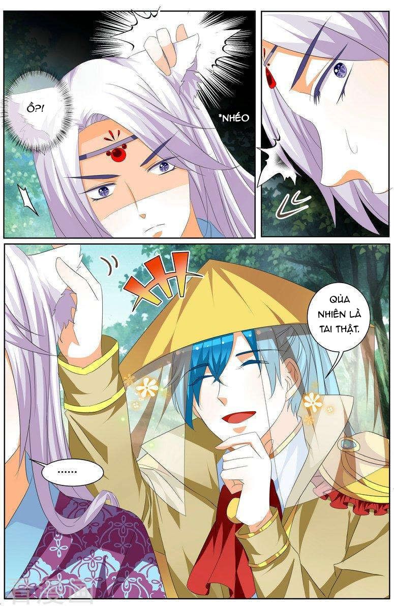 Hồ Thoại Hồ Thuyết chapter 28 - Trang 8