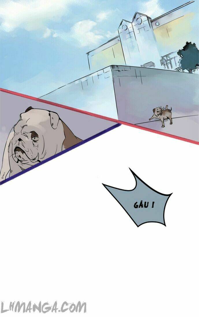 wolf’s castle chapter 8 10