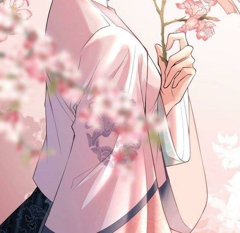 quận chúa vững vàng, thiết lập nhân vật không thể vỡ chapter 0 29