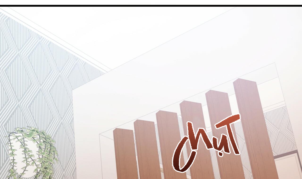 đàn thỏ của habibi chapter 33 55