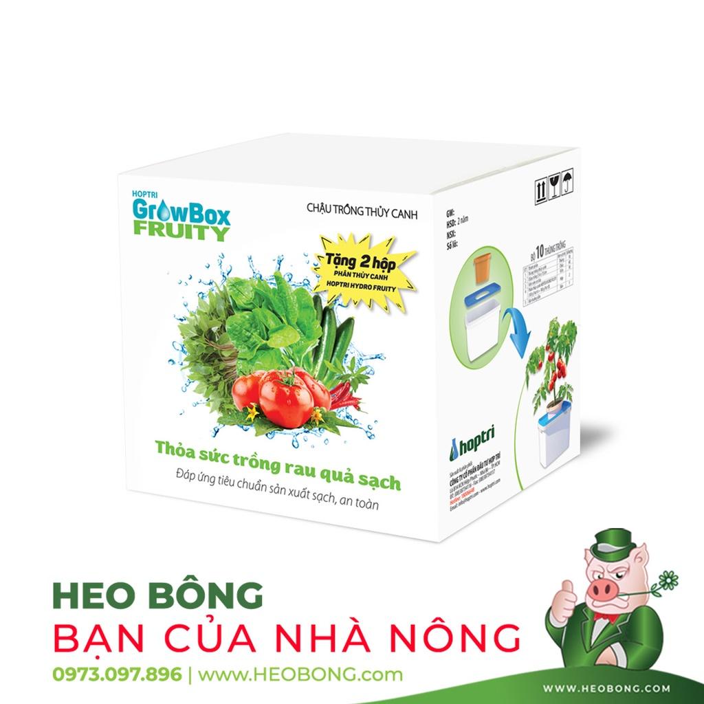 BỘ 10 CÁI - Chậu trồng thuỷ canh rau ăn quả HỢP TRÍ FRUITY KIT 10