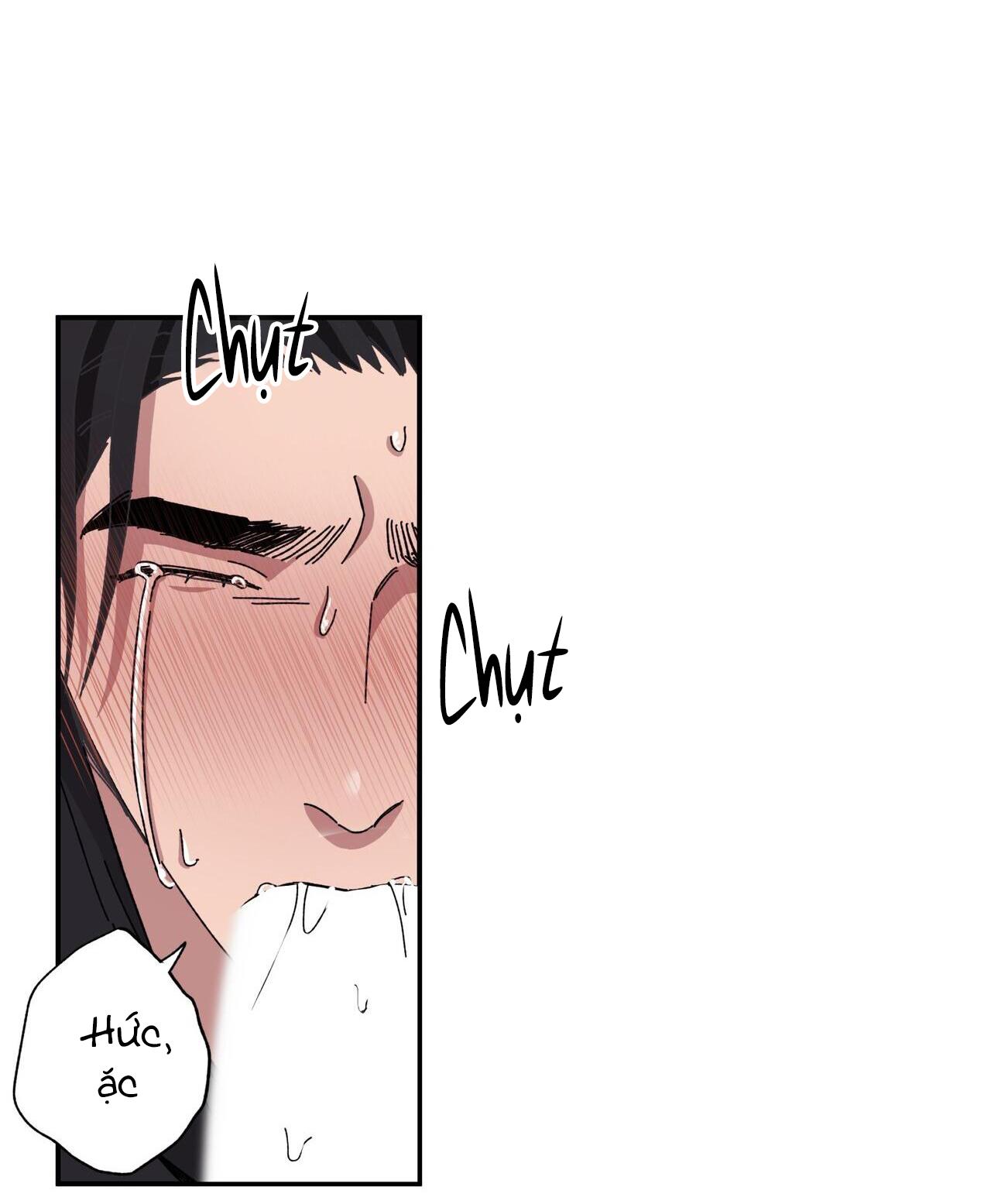 làm dâu nhà tài phiệt họ kang chapter 34 43