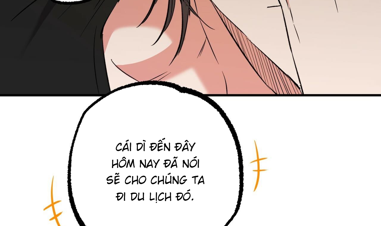 những chú thỏ của hapypy chapter 53 75