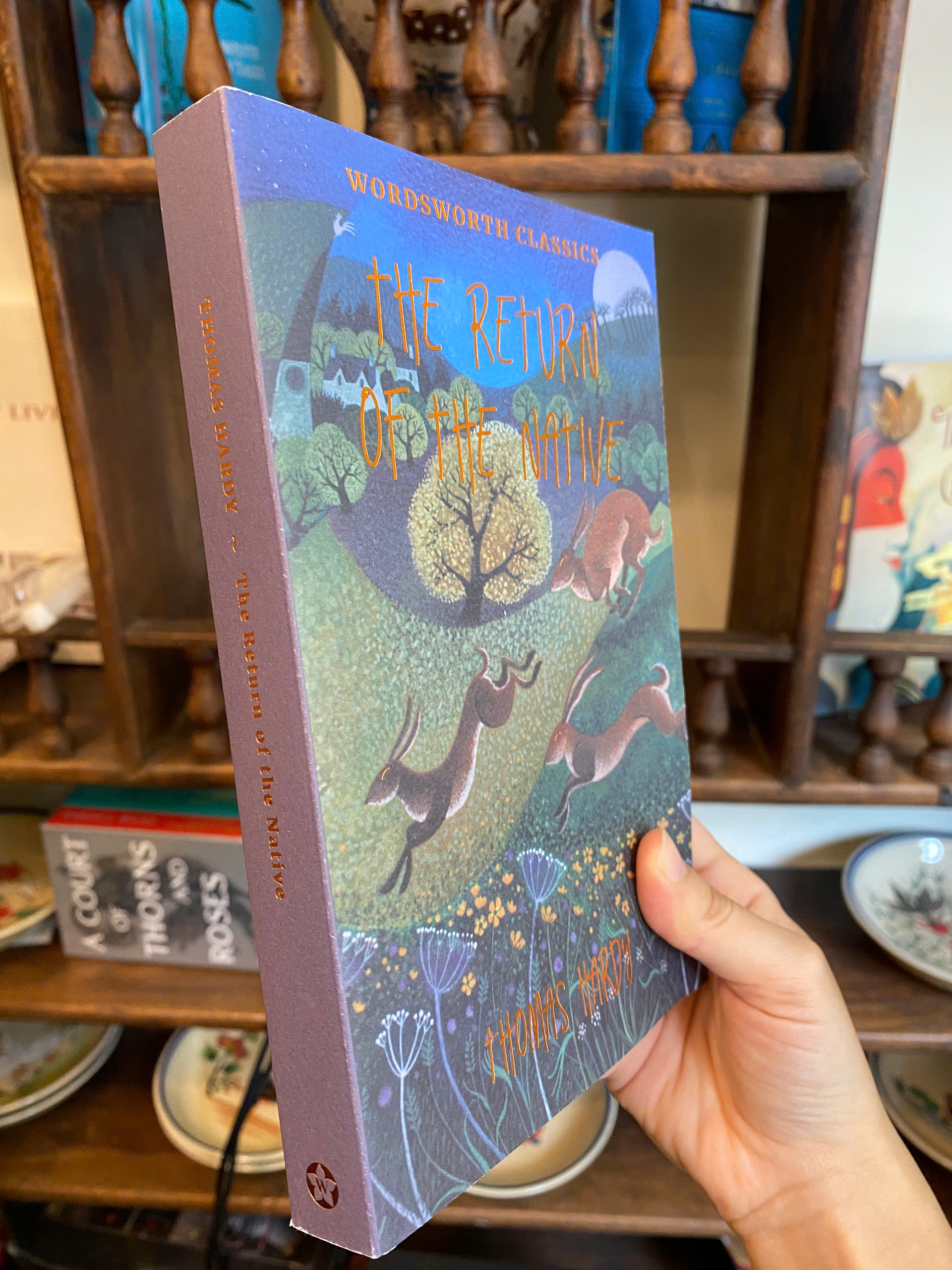 Sách - The Return of the Native (Wordsworth Classics) by Thomas Hardy | English Fiction