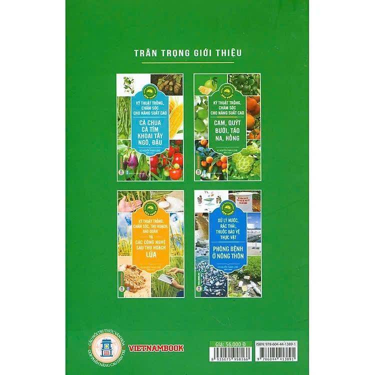 Sách - Kỹ Thuật Trồng, Chăm Sóc Cho Năng Suất Cao - Cam, Quýt, Bưởi, Táo, Na, Hồng - VIETNAMBOOK