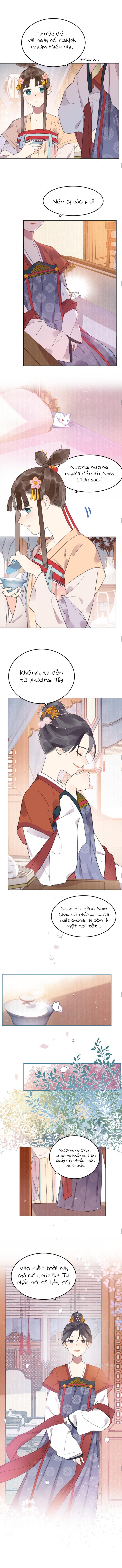 tôi không đời nào chịu yêu một tên đàn ông bằng giấy đâu chapter 43 3