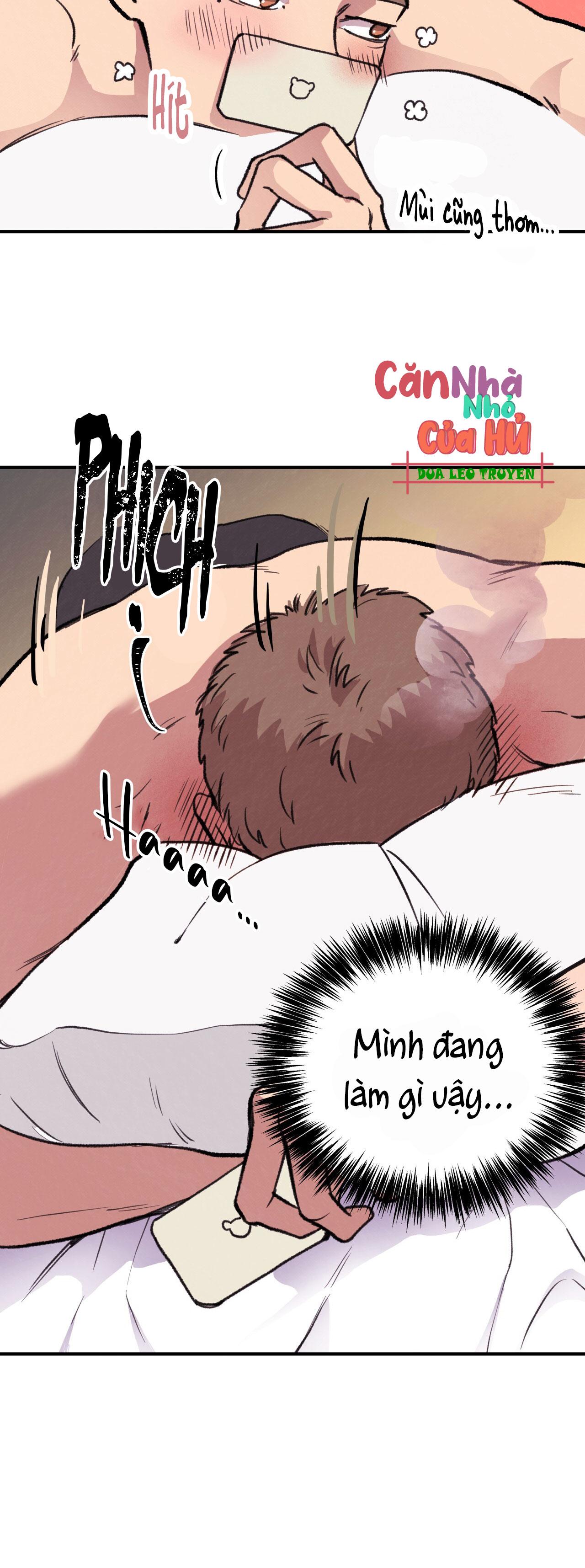 mật gấu chapter 1 48