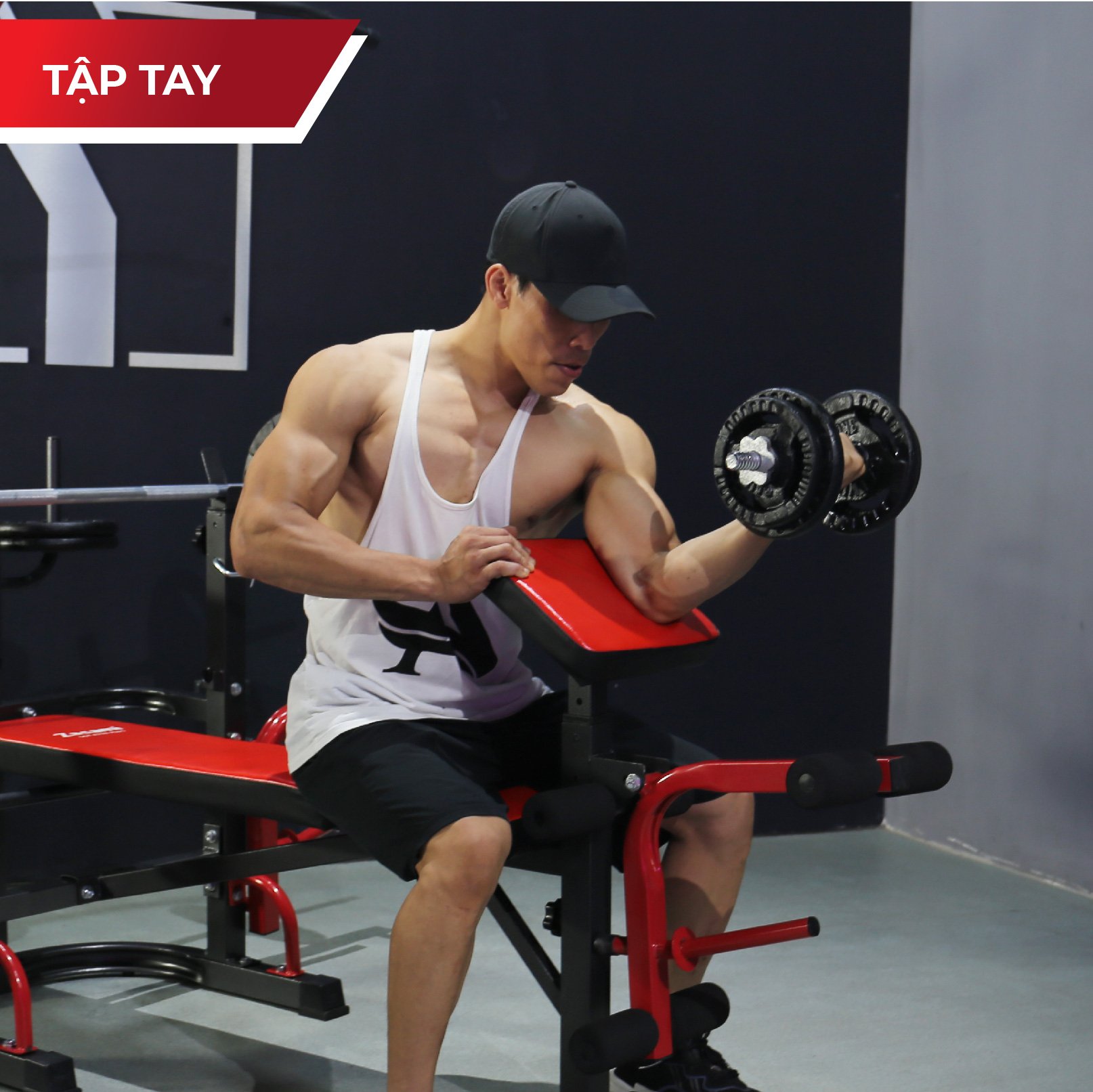 Giàn Tạ Đa Năng Zasami SGT-8210 Plus - kèm 50kg tạ gang, 1 đòn 1m5, và 1 đôi găng tay