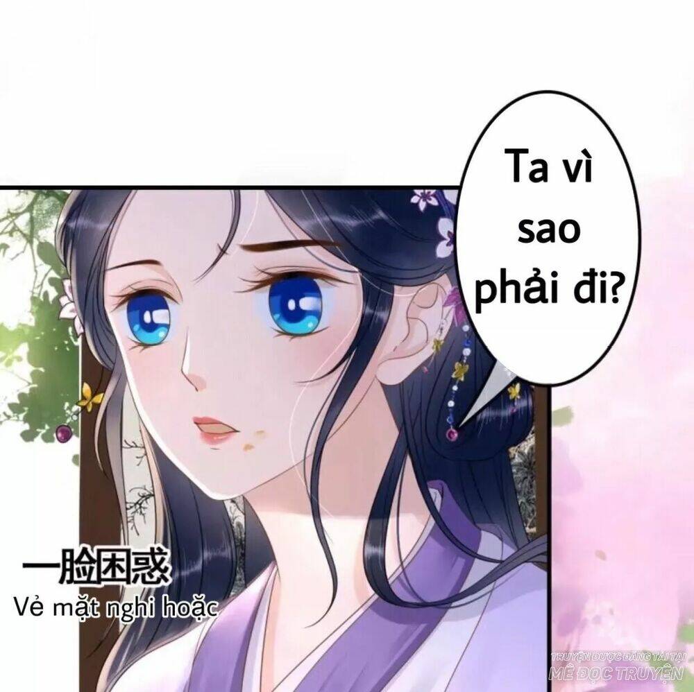 sủng phi của vương chapter 78 25