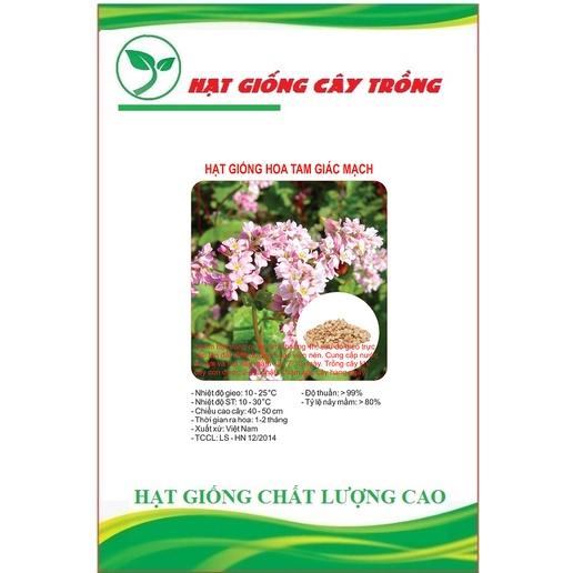 Hạt giống hoa tam giác mạch CT174 - Gói 100 hạt