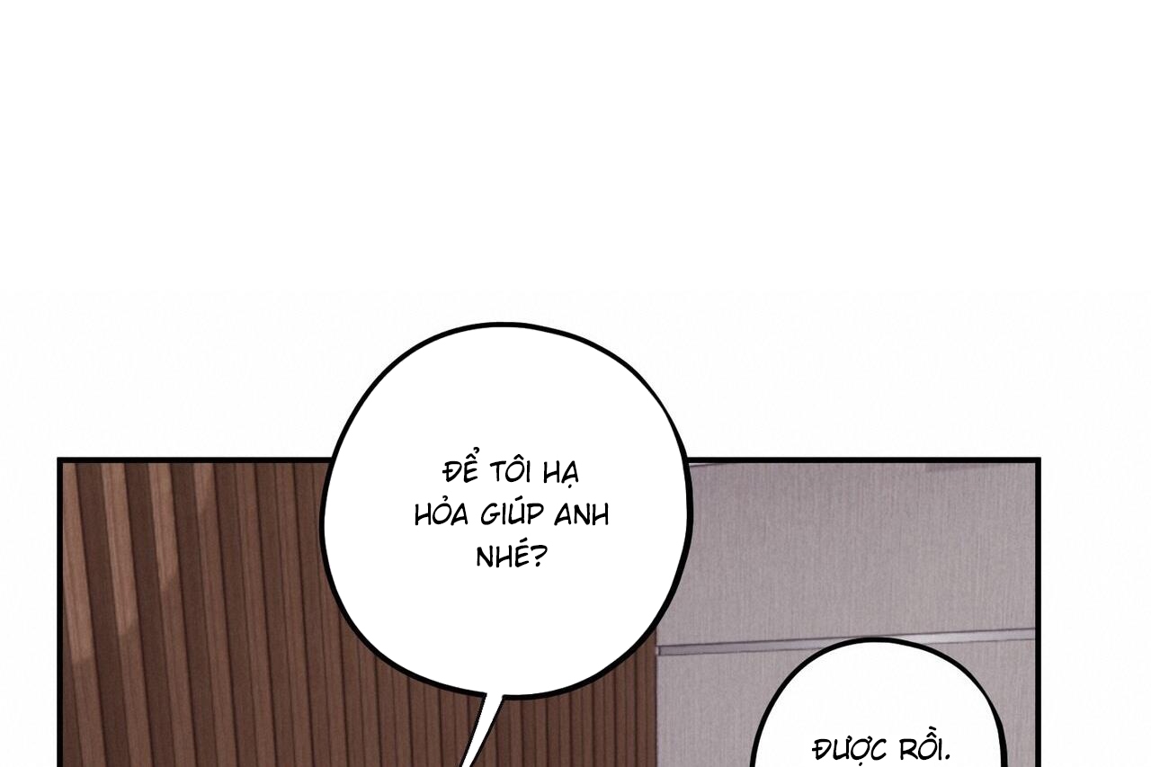 chàng dâu nhà họ kang chapter 34 149