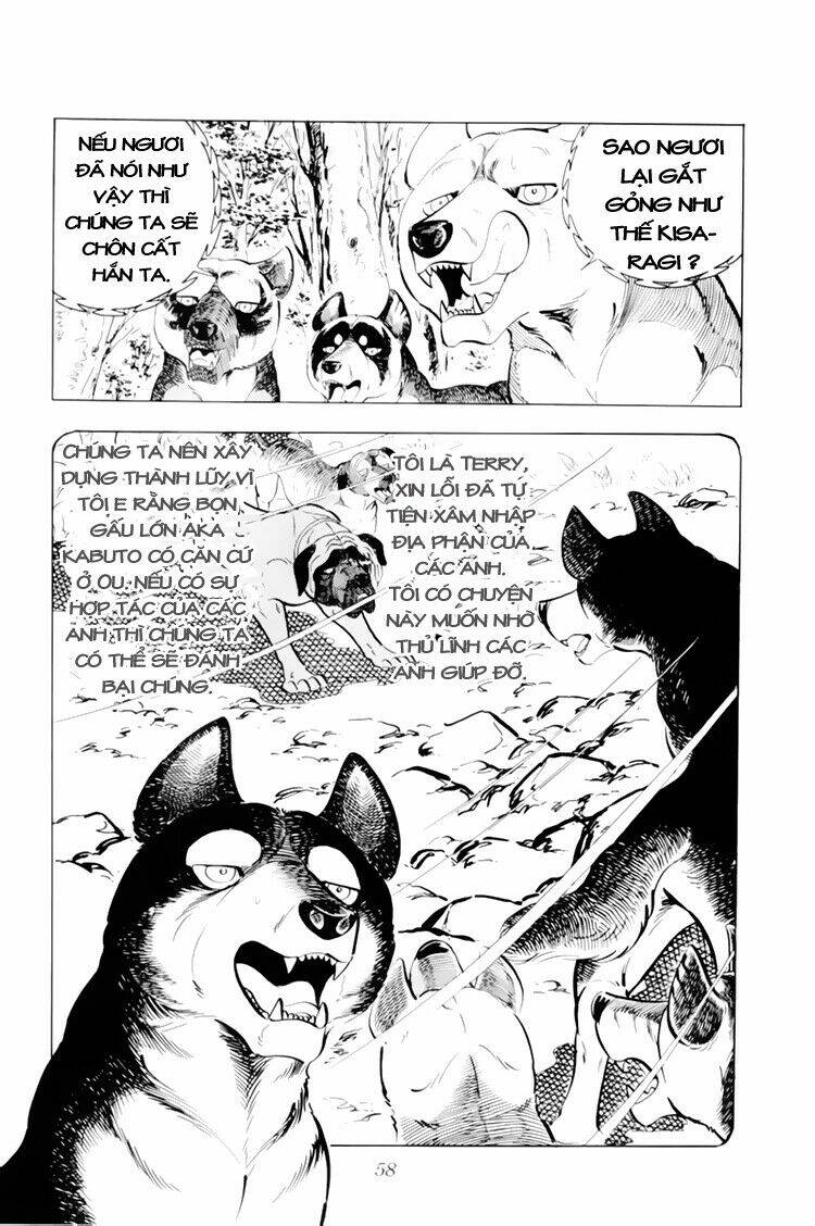 chú chó có nghĩa - ginga nagareboshi gin chapter 32.1 12