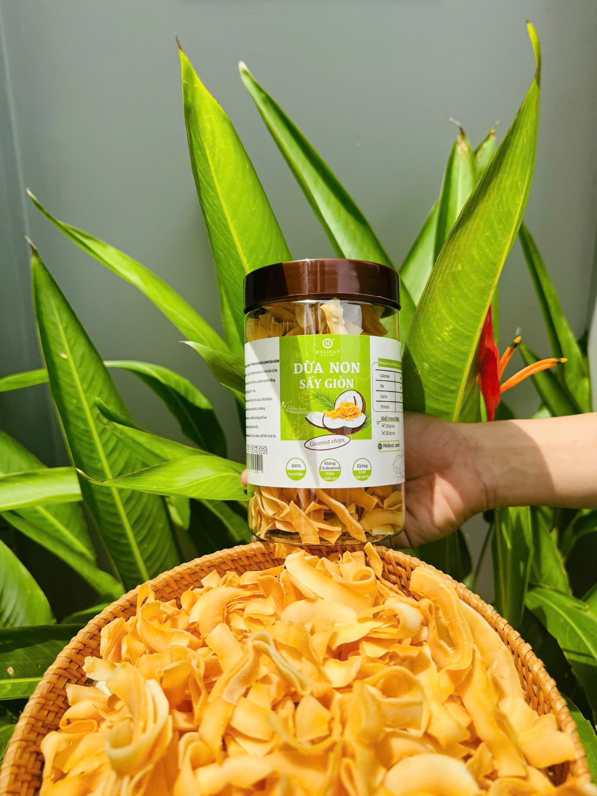 DỪA NON SẤY GIÒN - Coconut chips/ Thương hiệu HOLINUT