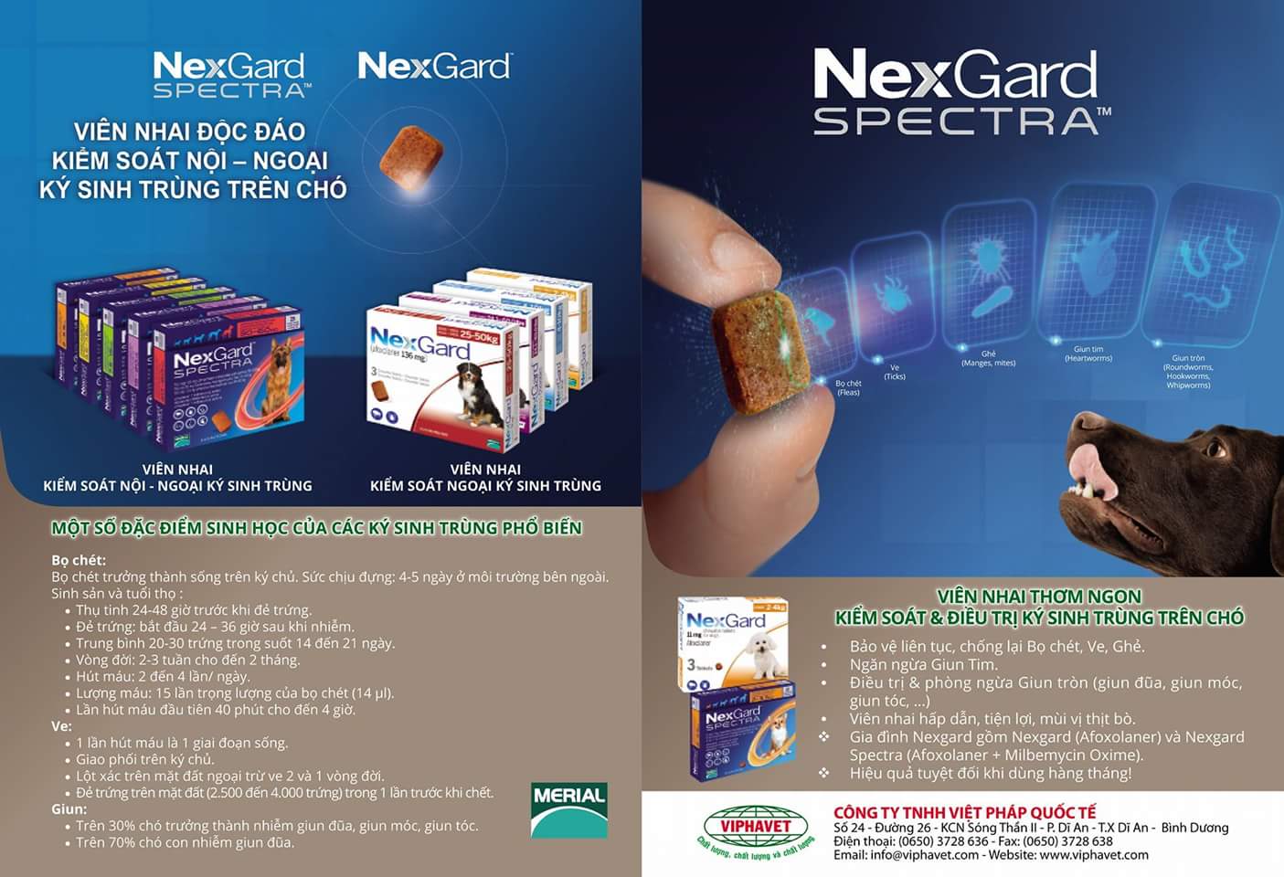 1 viên NexGard Spectra xổ giun, diệt ghẻ, ve rận, bọ chét